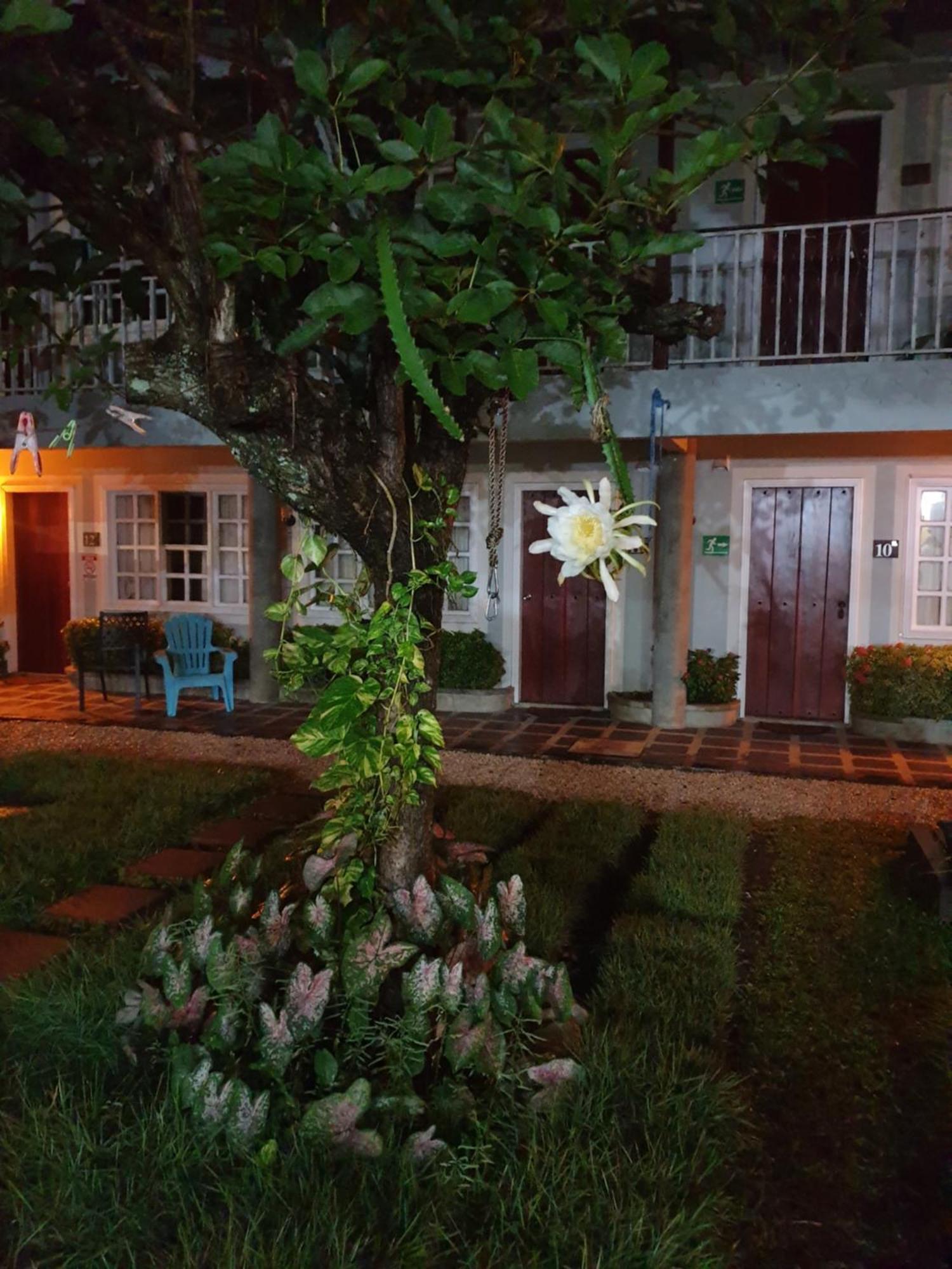 Hotel Liberia Zewnętrze zdjęcie